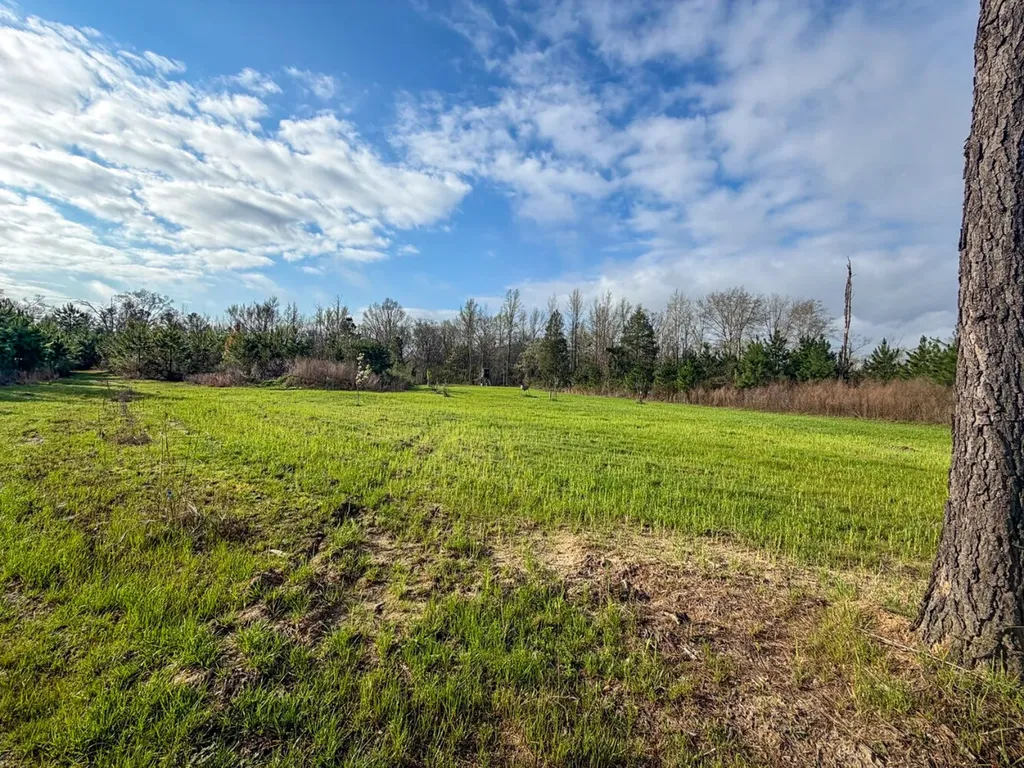 0 Co Road 11 Orrville AL 36767