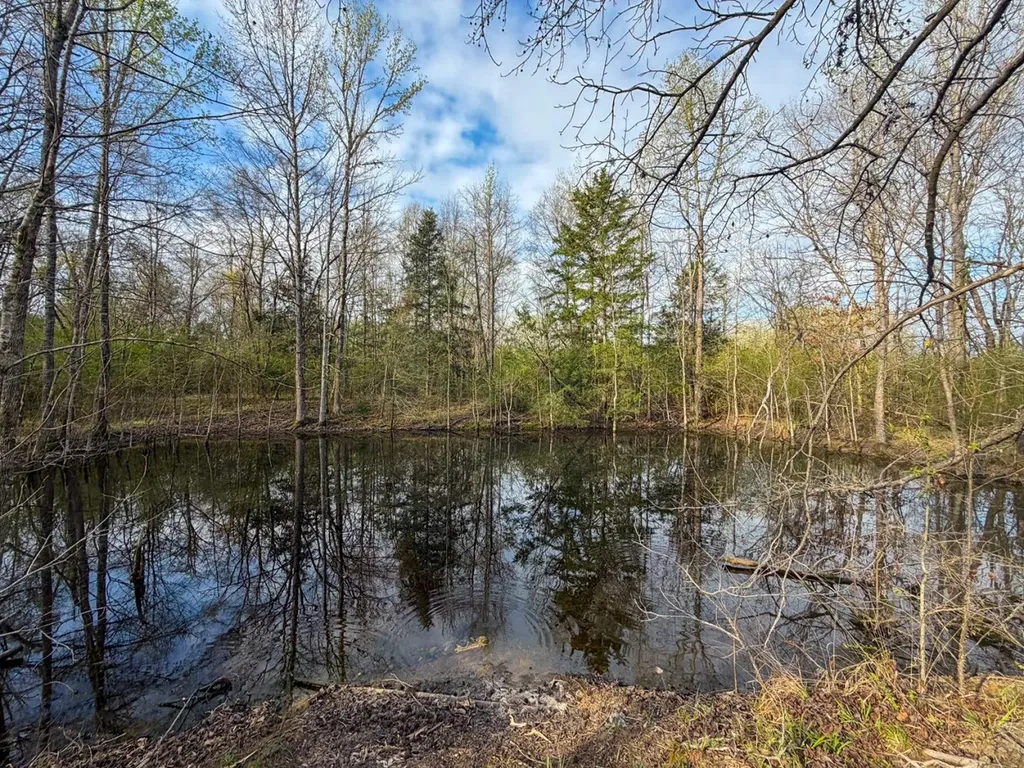 0 Co Road 11 Orrville AL 36767