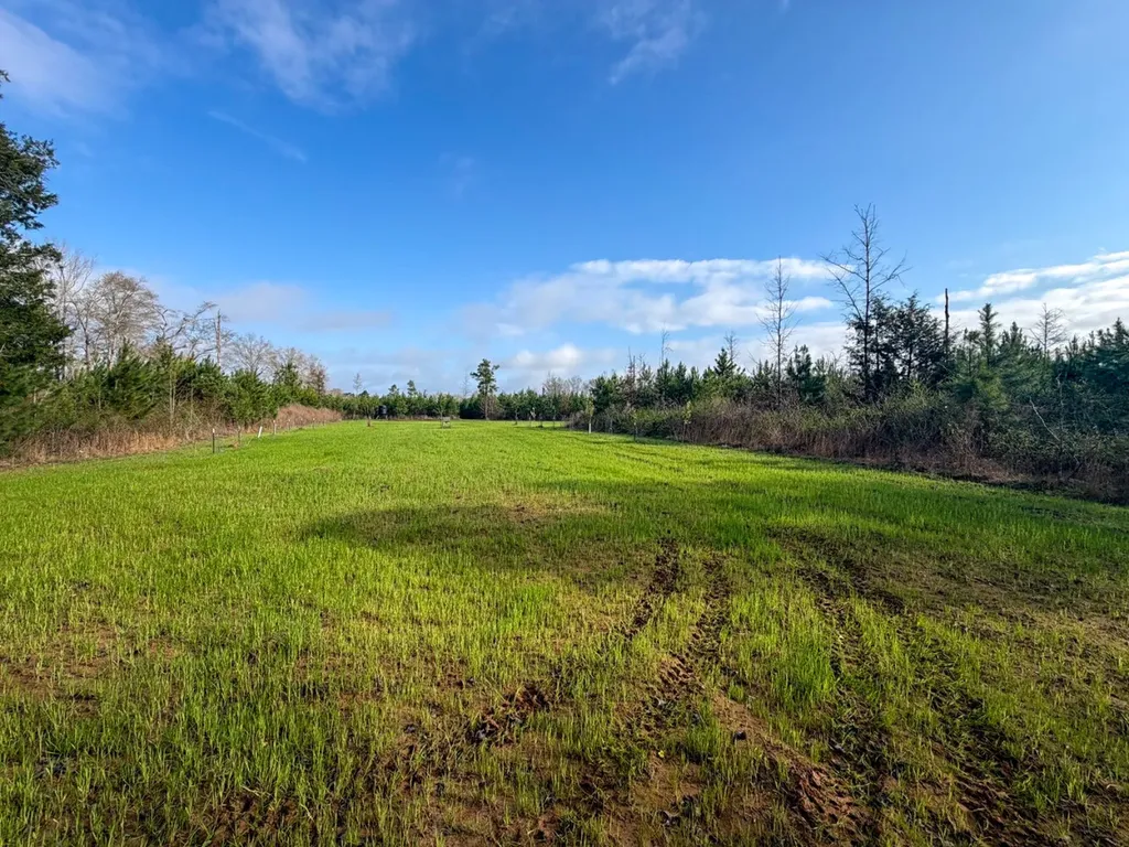 0 Co Road 11 Orrville AL 36767