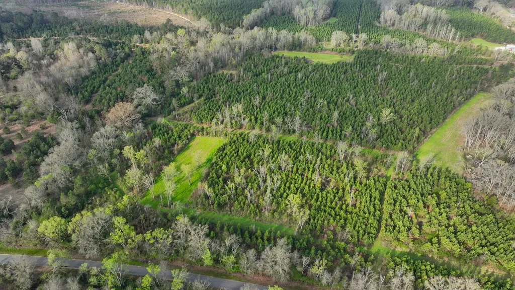 0 Co Road 11 Orrville AL 36767