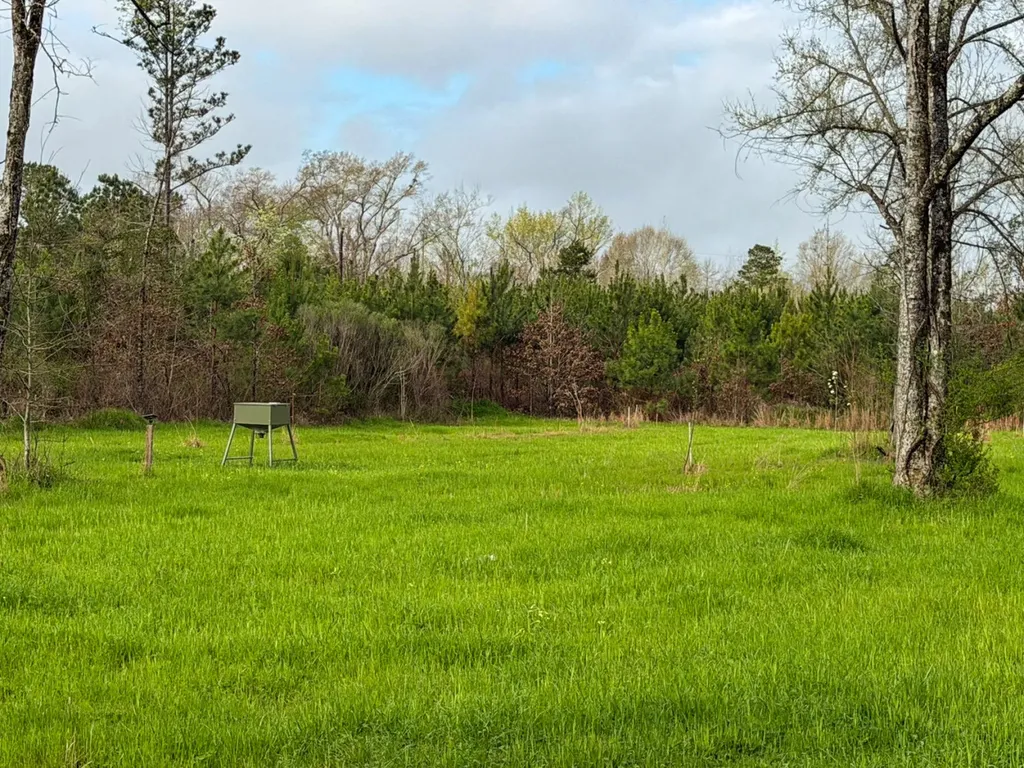 0 Co Road 11 Orrville AL 36767