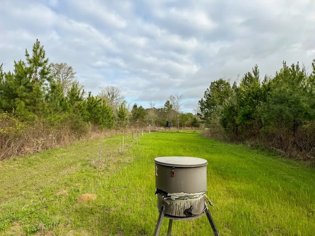0 Co Road 11 Orrville AL 36767