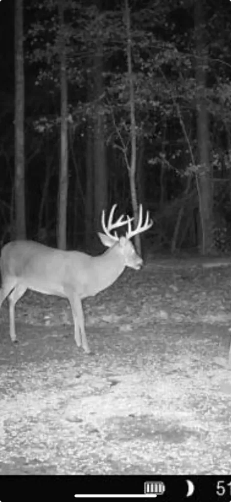 0 Co Road 11 Orrville AL 36767