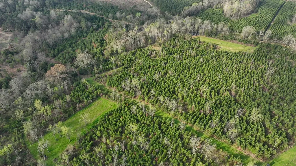 0 Co Road 11 Orrville AL 36767