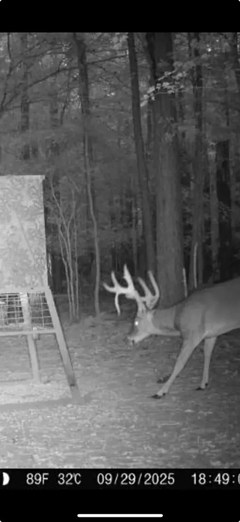0 Co Road 11 Orrville AL 36767