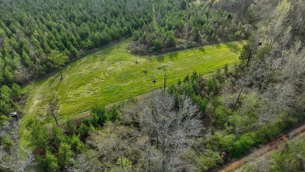 0 Co Road 11 Orrville AL 36767