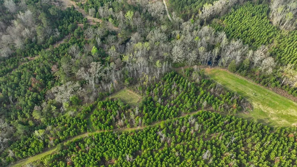 0 Co Road 11 Orrville AL 36767