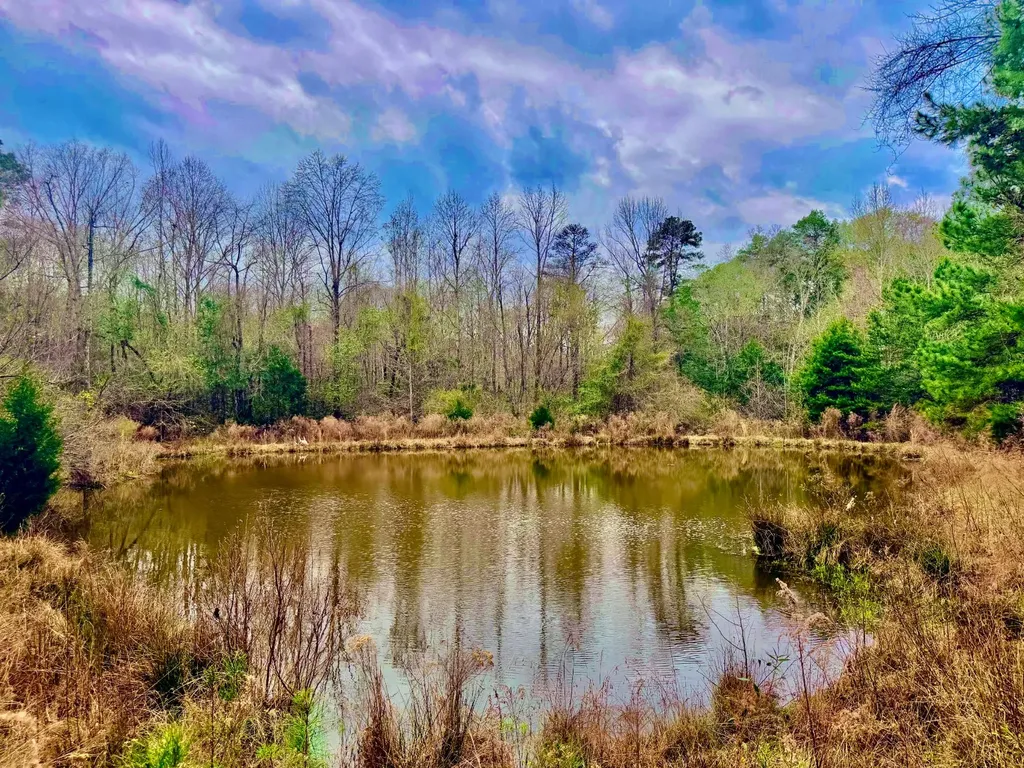 2181 Birch Road Whatley AL 36482