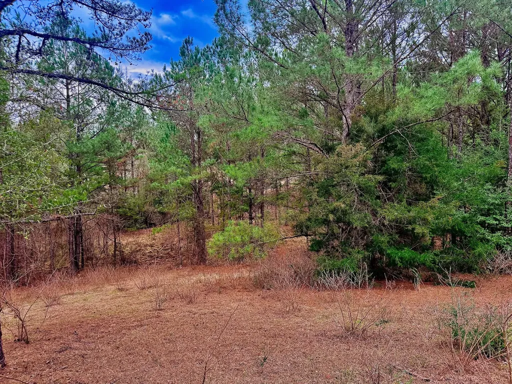 2181 Birch Road Whatley AL 36482