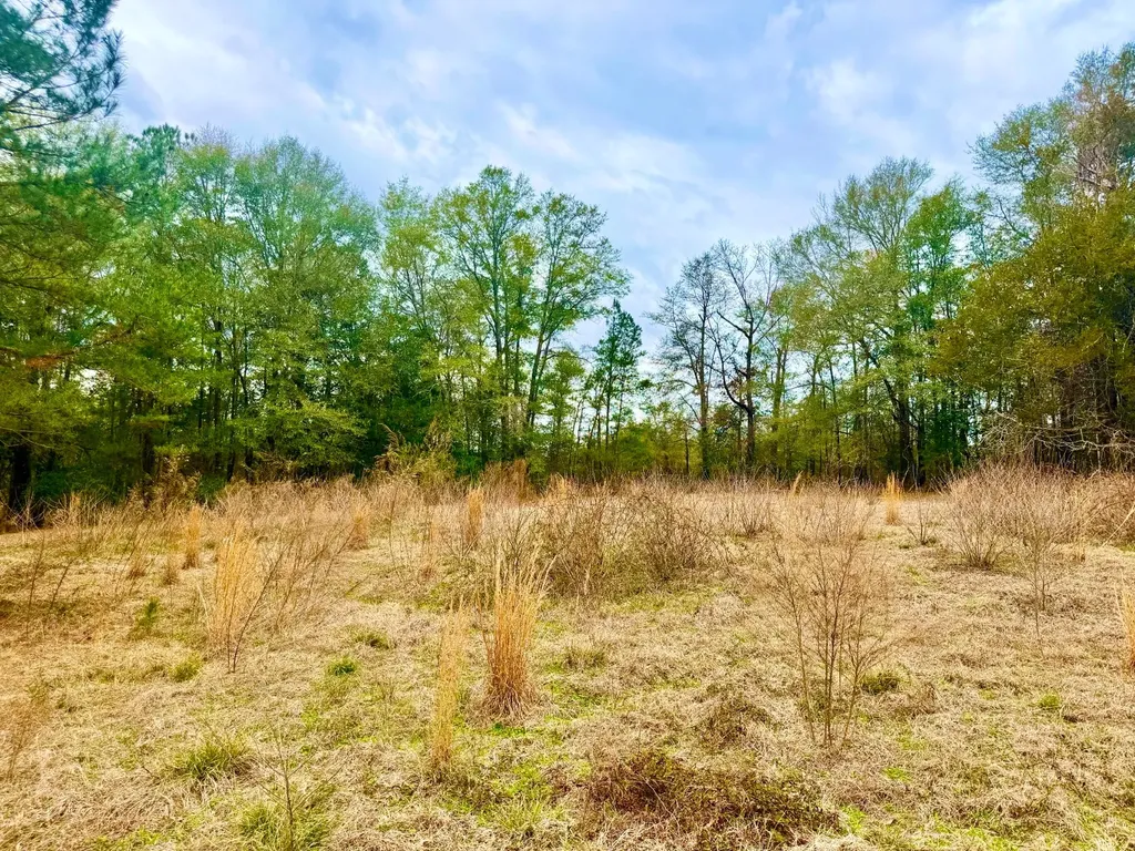 2181 Birch Road Whatley AL 36482