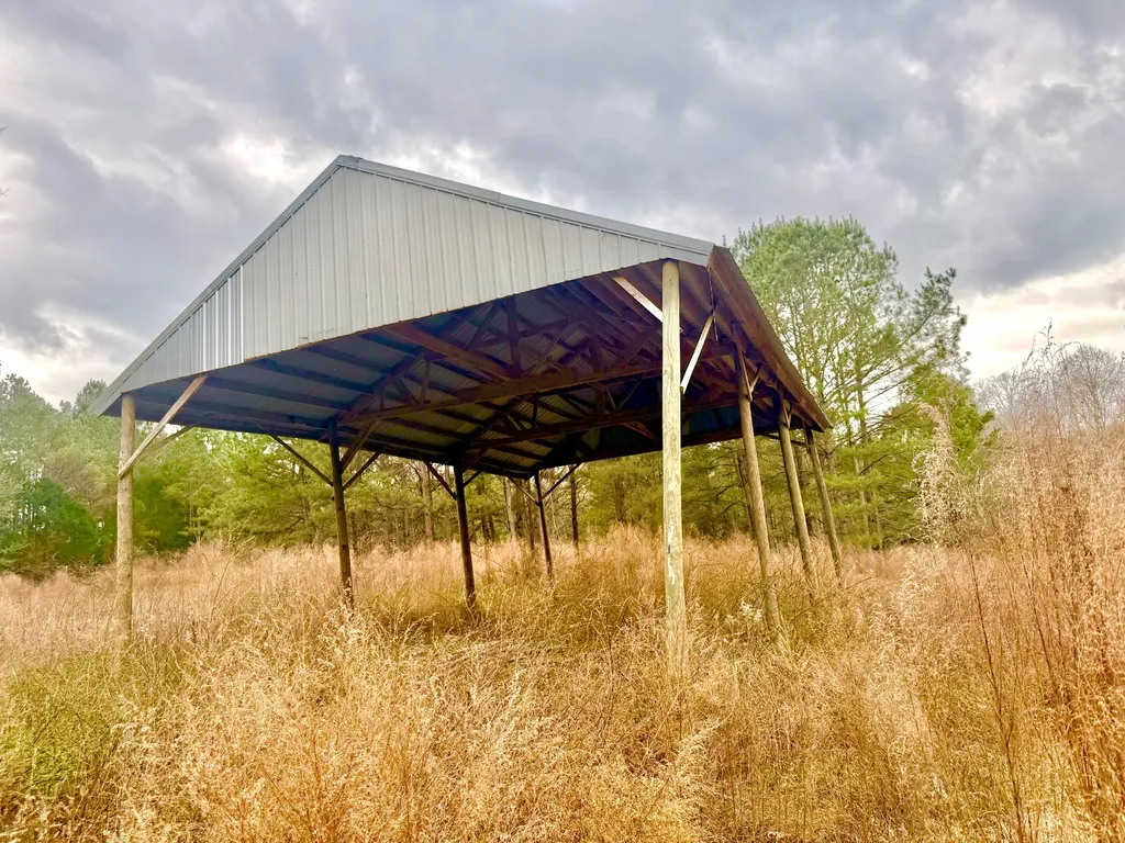 2181 Birch Road Whatley AL 36482