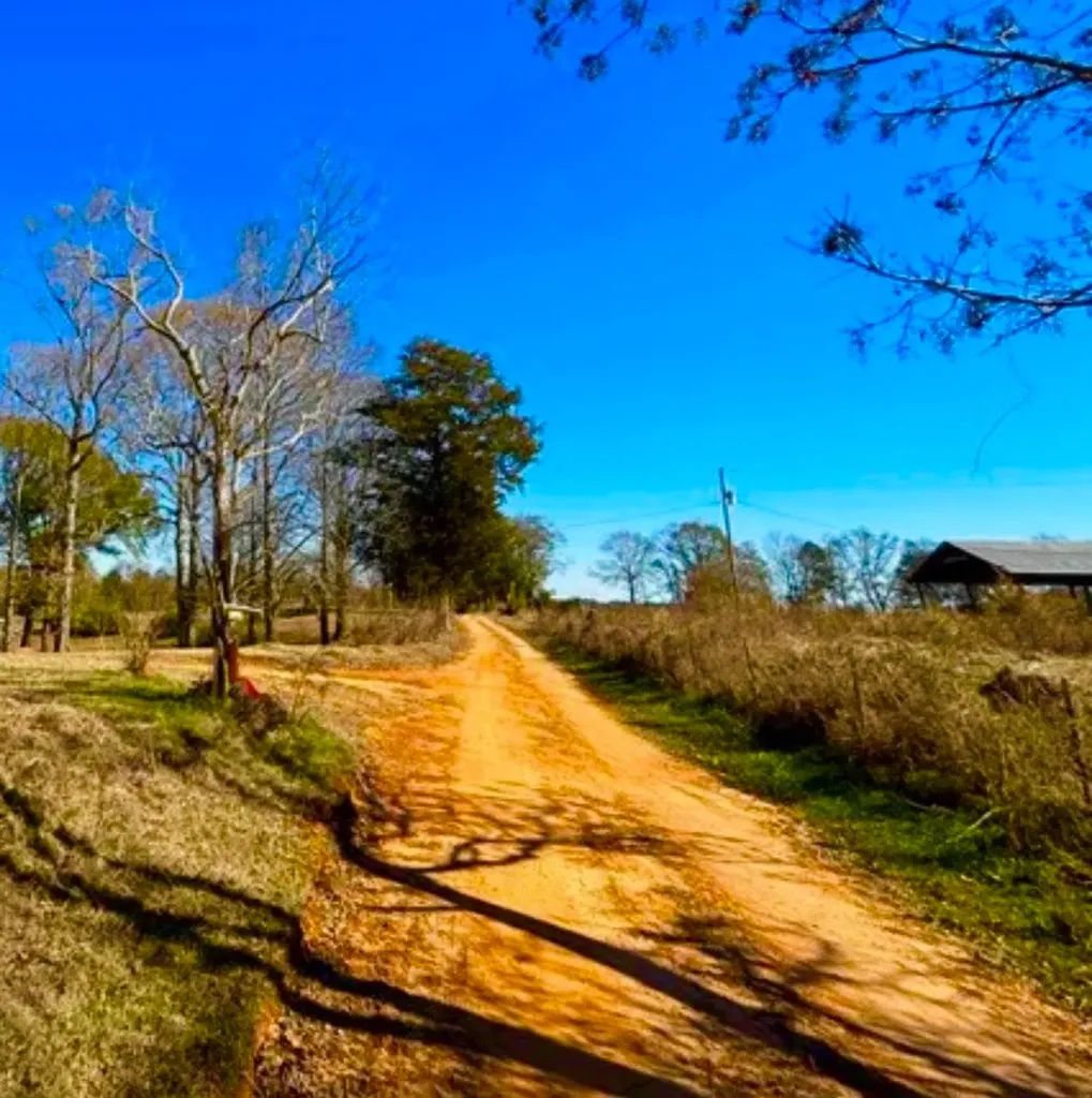 2181 Birch Road Whatley AL 36482