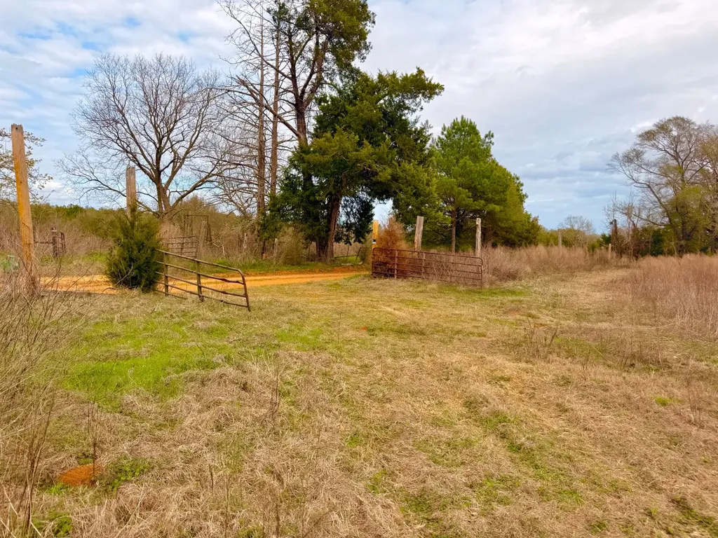 2181 Birch Road Whatley AL 36482