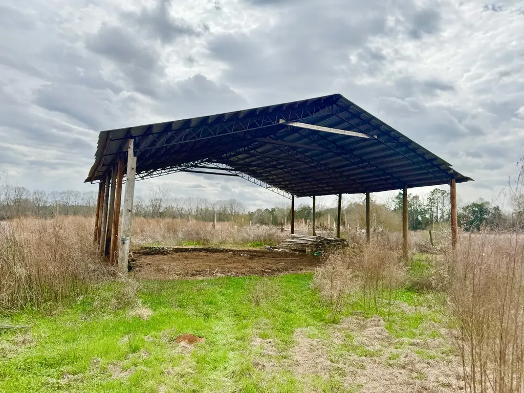 2181 Birch Road Whatley AL 36482