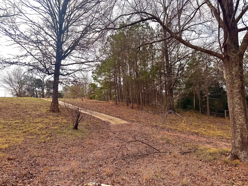 2181 Birch Road Whatley AL 36482