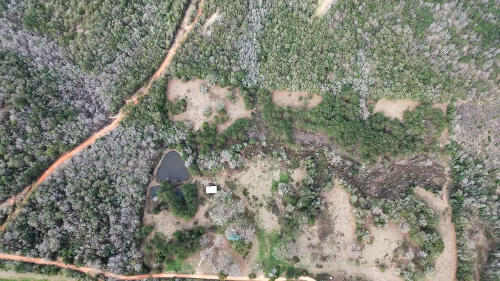 2181 Birch Road Whatley AL 36482