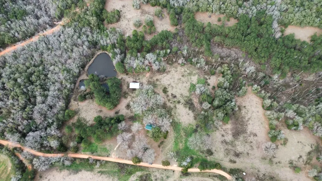 2181 Birch Road Whatley AL 36482