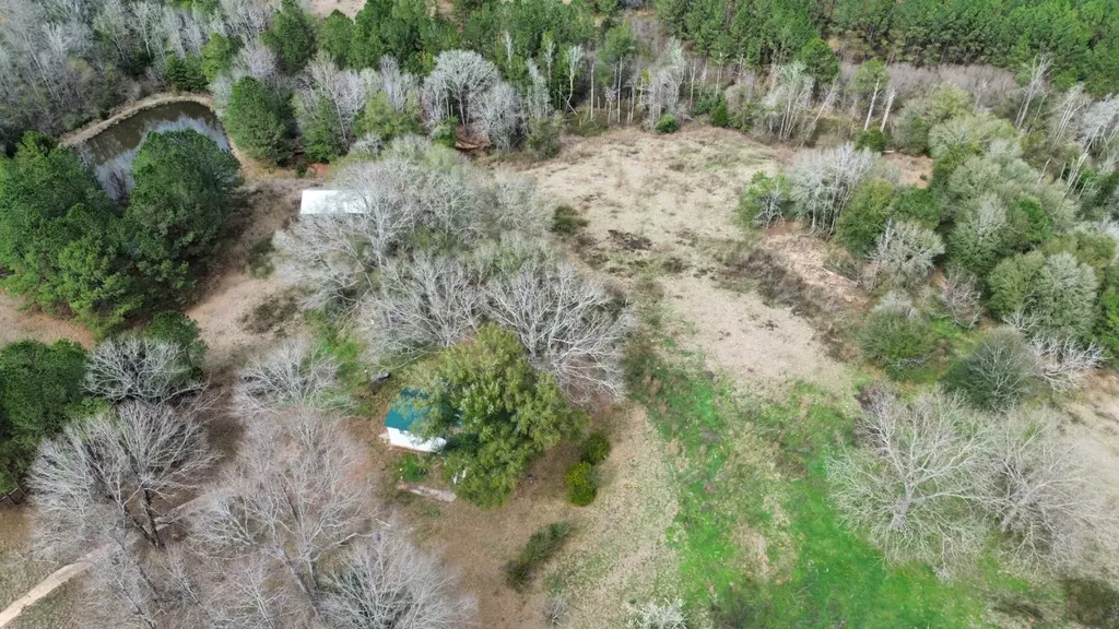 2181 Birch Road Whatley AL 36482