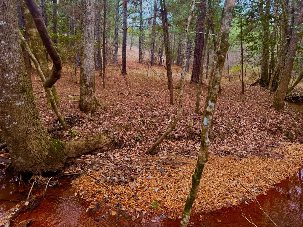 2181 Birch Road Whatley AL 36482