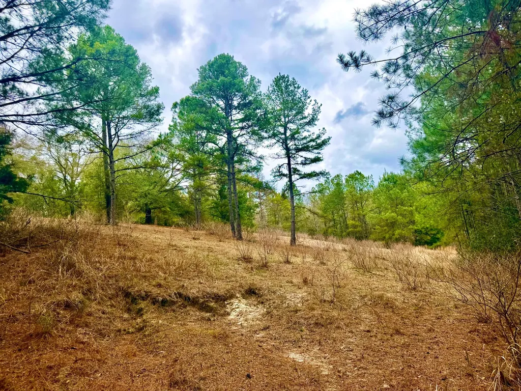 2181 Birch Road Whatley AL 36482