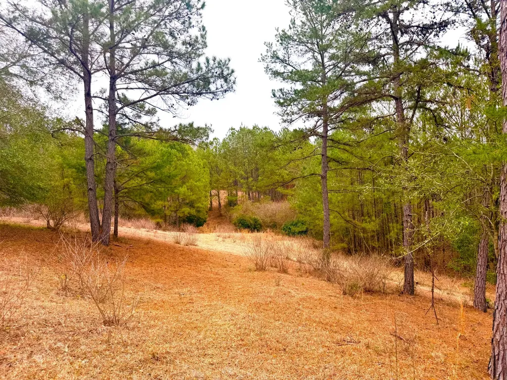 2181 Birch Road Whatley AL 36482