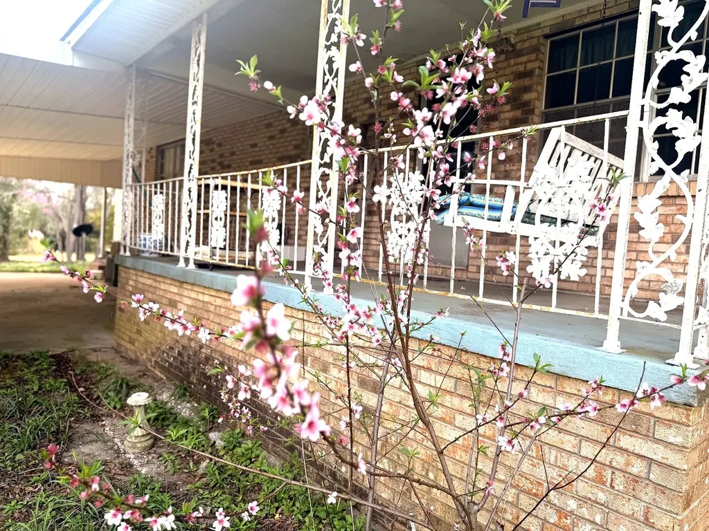 43 Sunrise Lane Grove Hill AL 36451