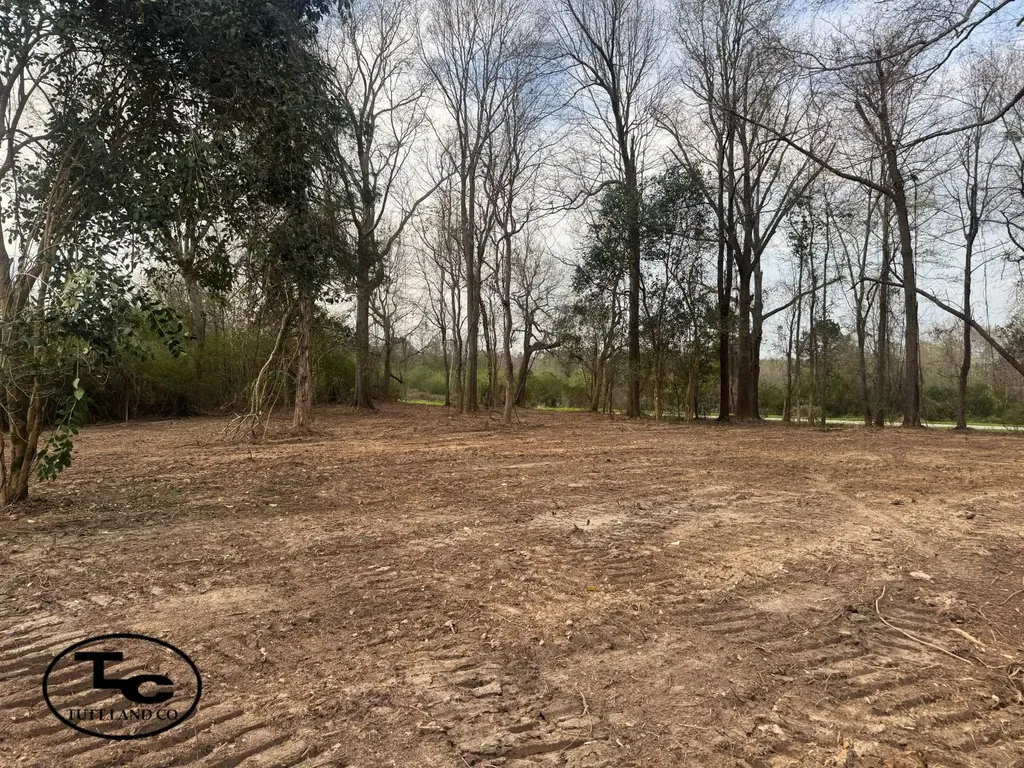 0 Highway 164 Camden AL 36726