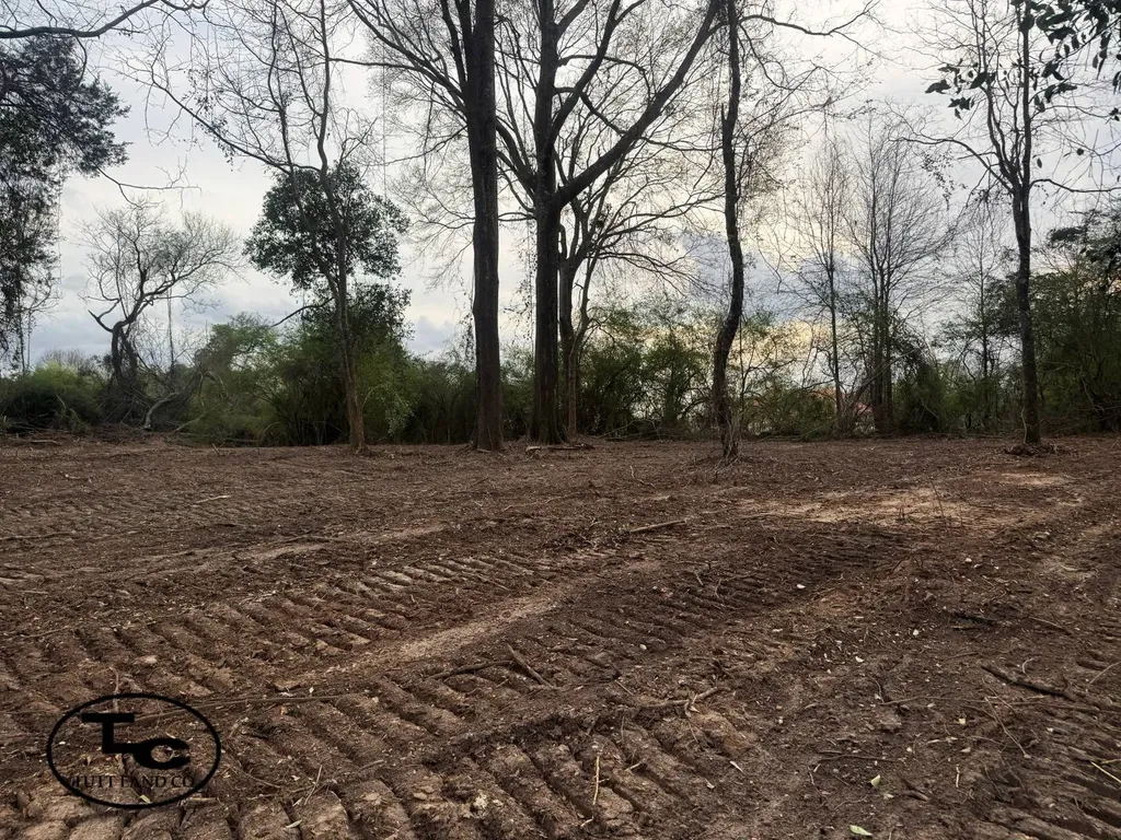 0 Highway 164 Camden AL 36726