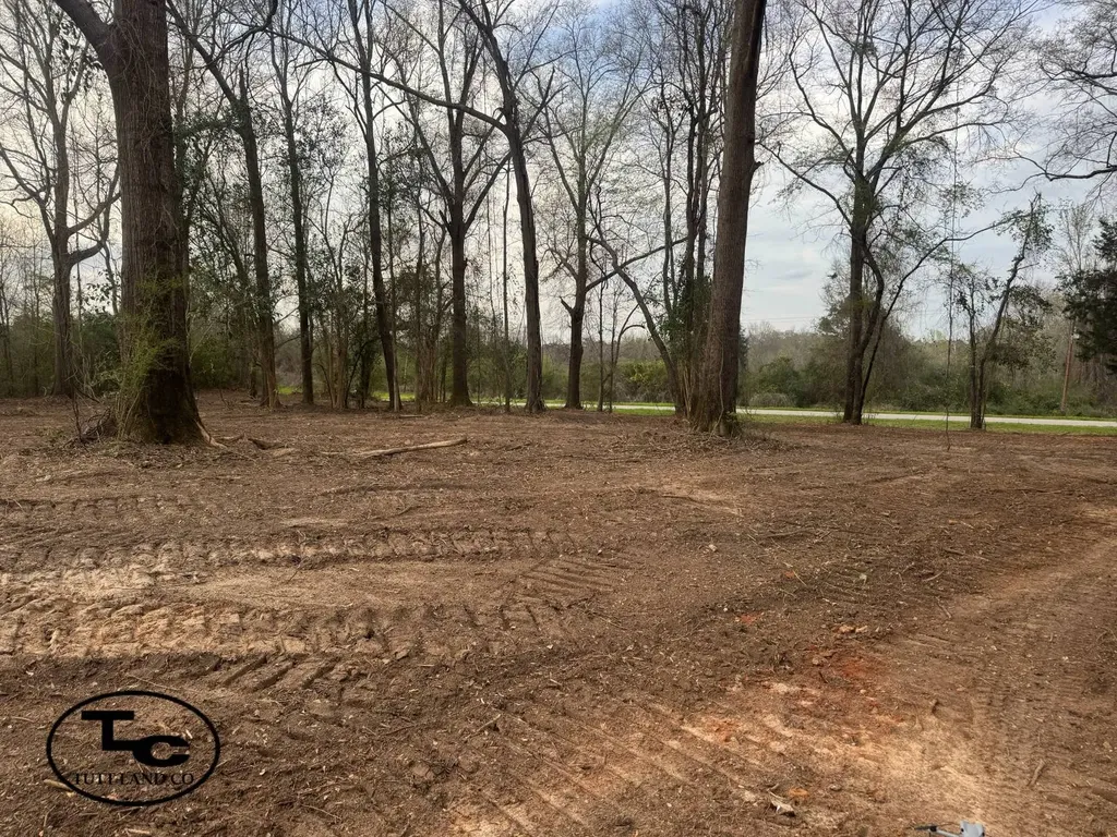 0 Highway 164 Camden AL 36726