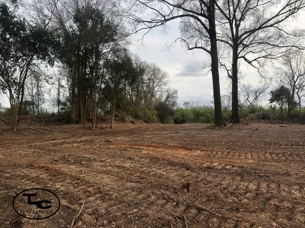 0 Highway 164 Camden AL 36726