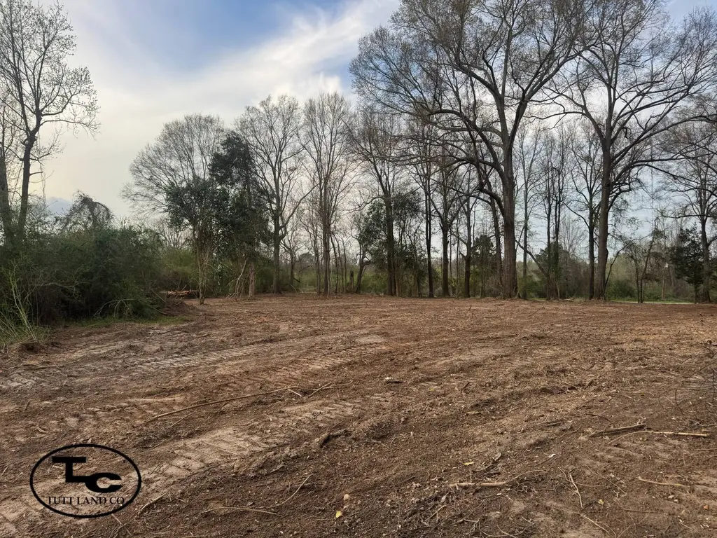 0 Highway 164 Camden AL 36726