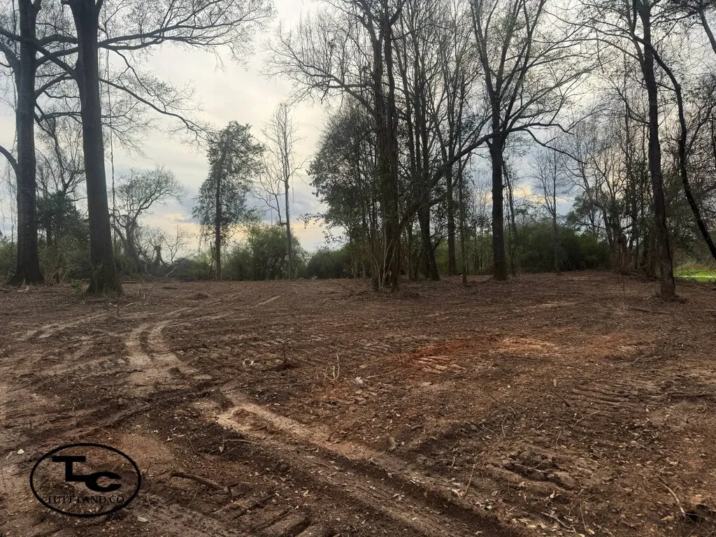 0 Highway 164 Camden AL 36726