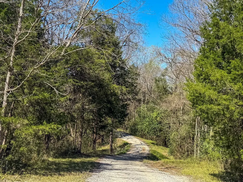 0 Hwy 80 E Gallion AL 36742