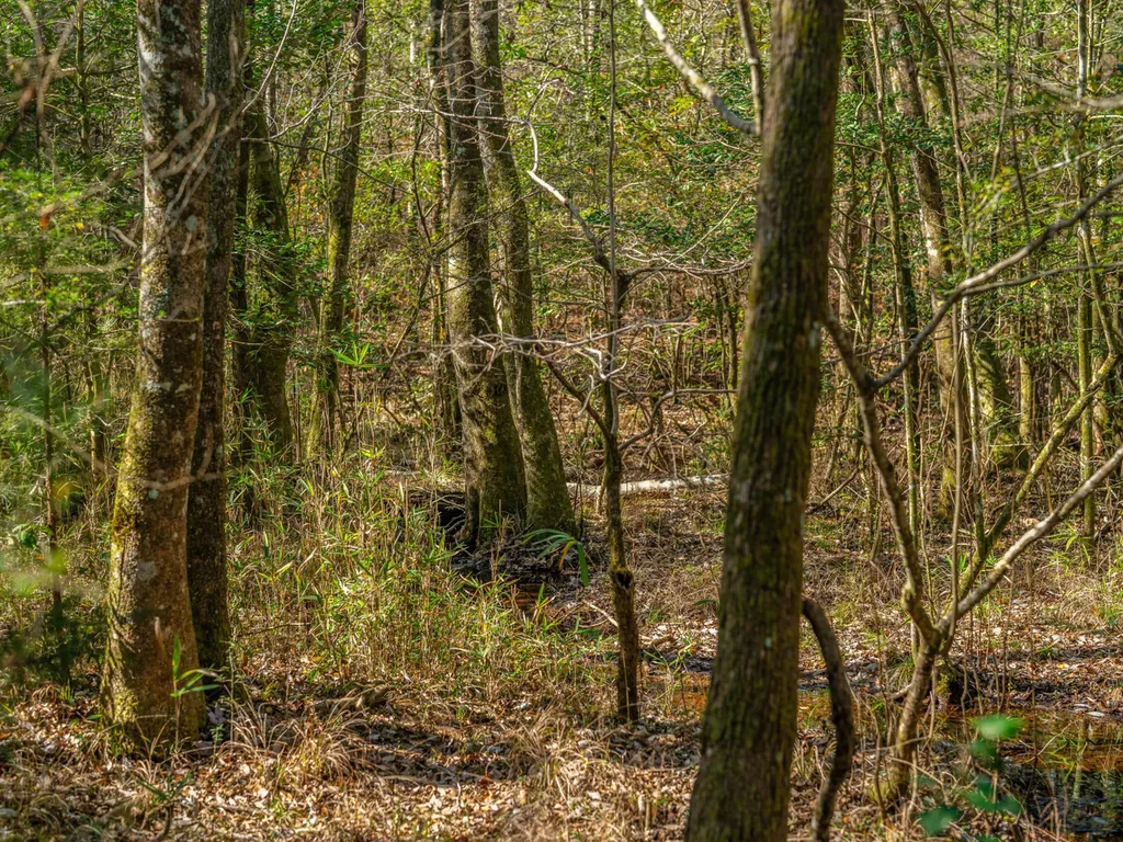 001 Old Stage Road Atmore AL 36502