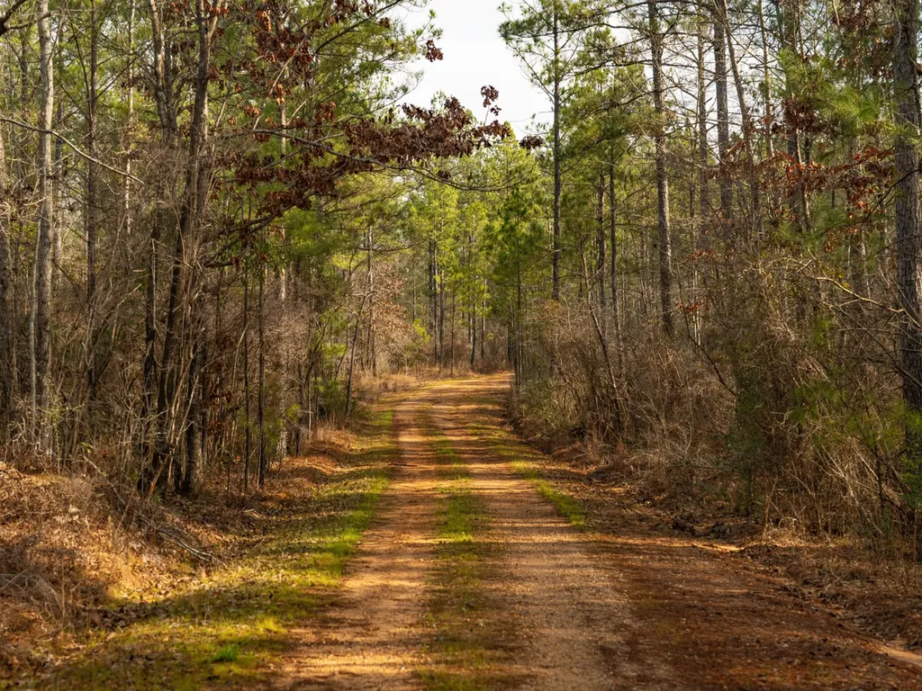 001 Old Stage Road Atmore AL 36502