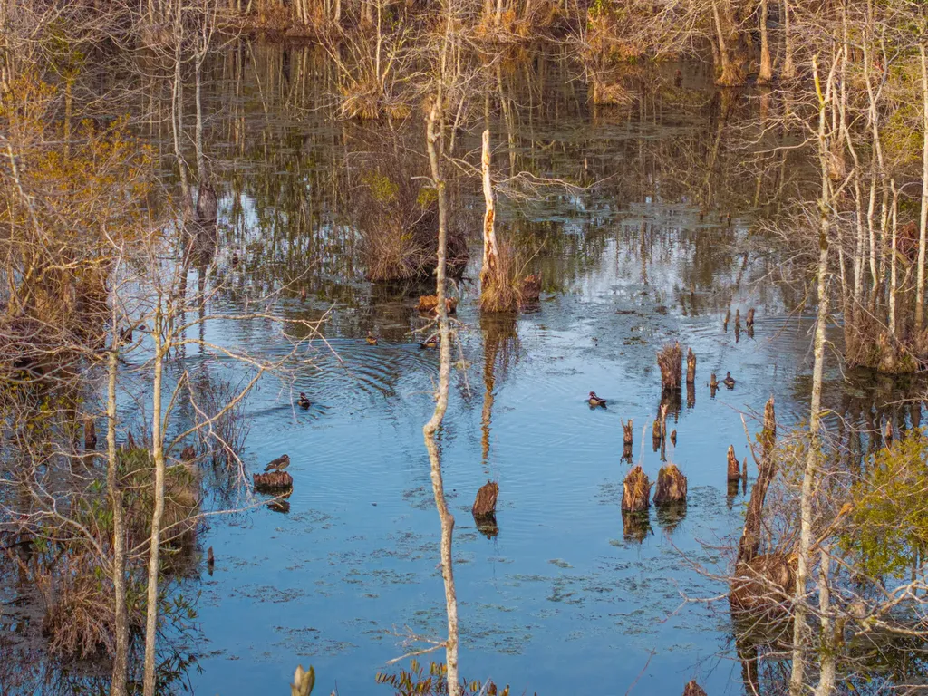 001 Old Stage Road Atmore AL 36502