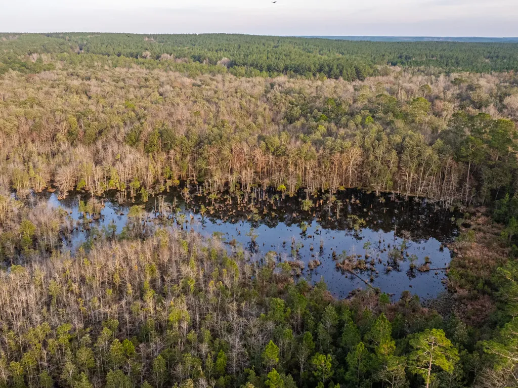 001 Old Stage Road Atmore AL 36502