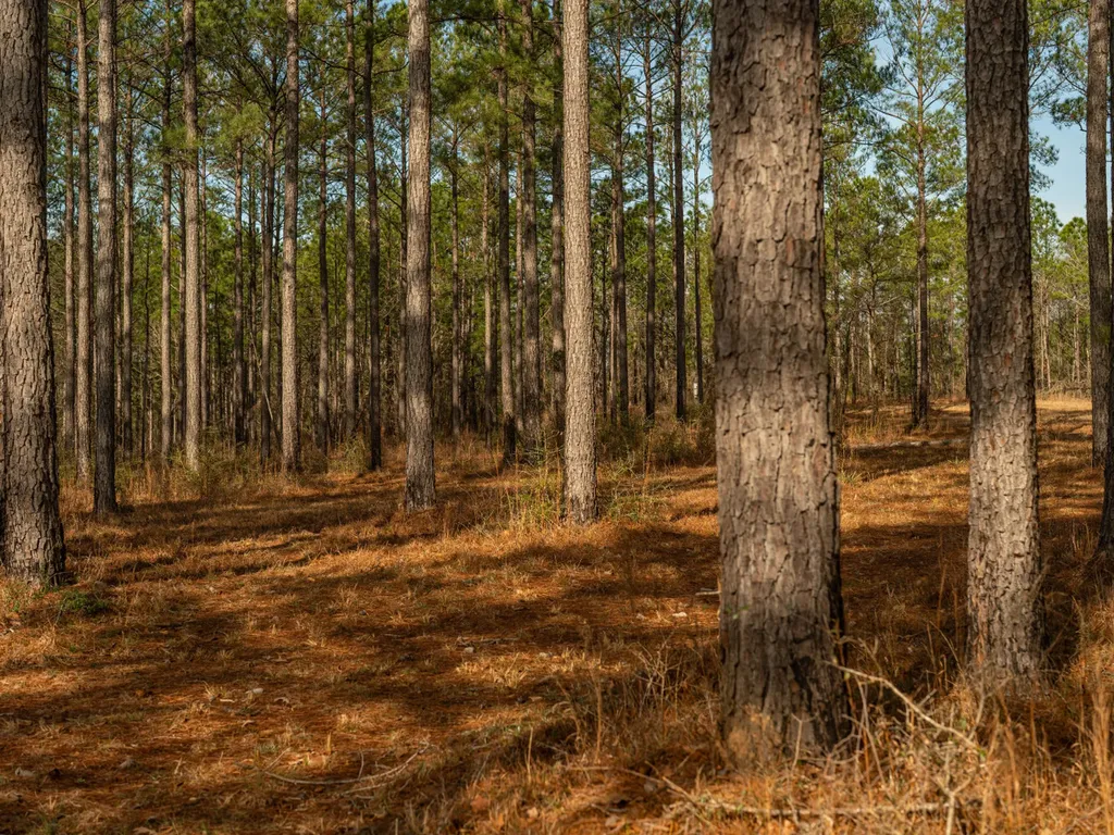001 Old Stage Road Atmore AL 36502