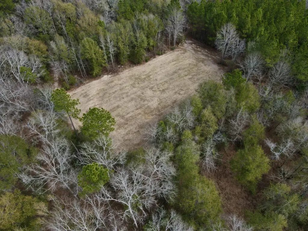 21518 Homer Smith Road Andalusia AL 36421
