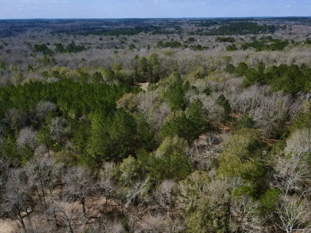 21518 Homer Smith Road Andalusia AL 36421
