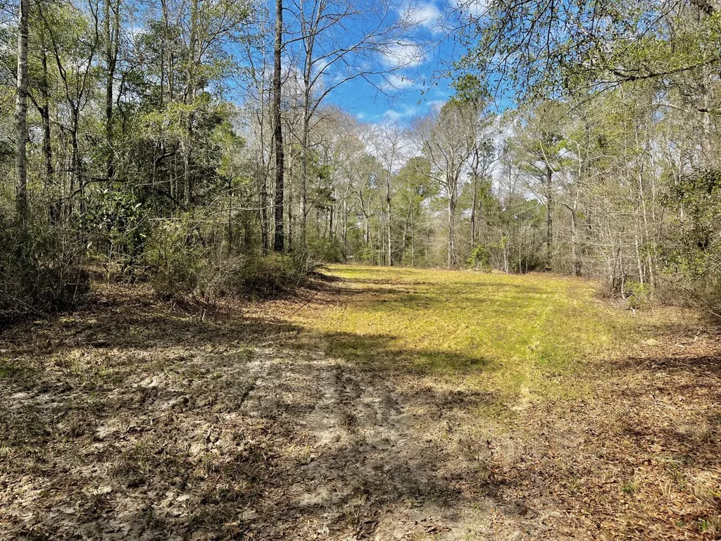 21518 Homer Smith Road Andalusia AL 36421