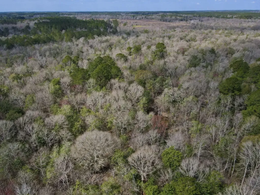 21518 Homer Smith Road Andalusia AL 36421