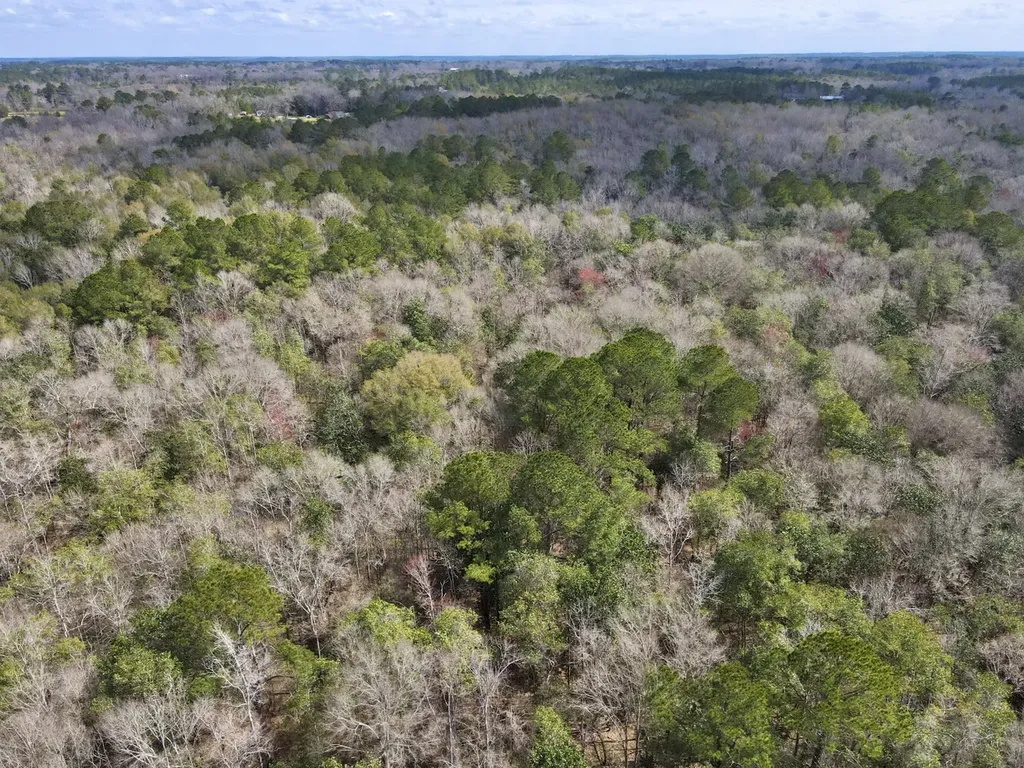 21518 Homer Smith Road Andalusia AL 36421