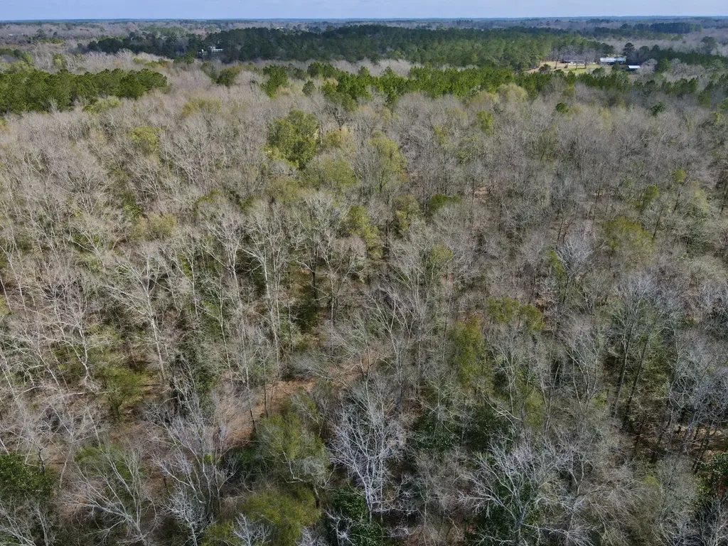 21518 Homer Smith Road Andalusia AL 36421