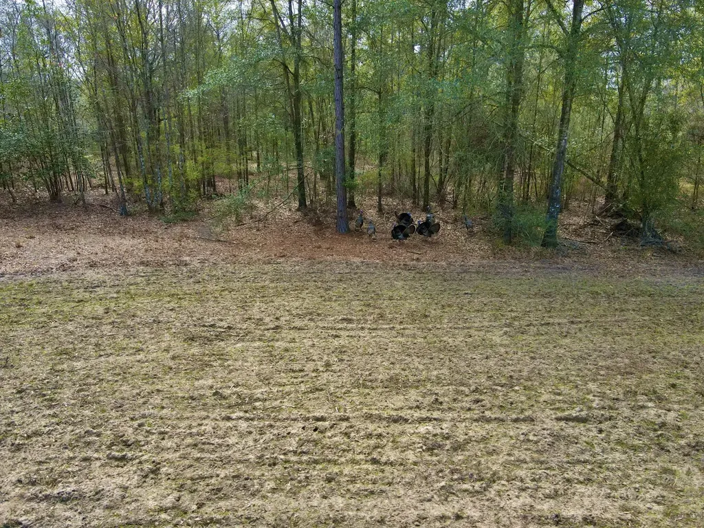 21518 Homer Smith Road Andalusia AL 36421