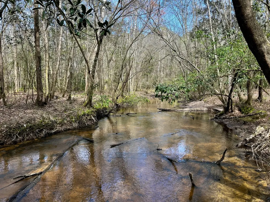 21518 Homer Smith Road Andalusia AL 36421