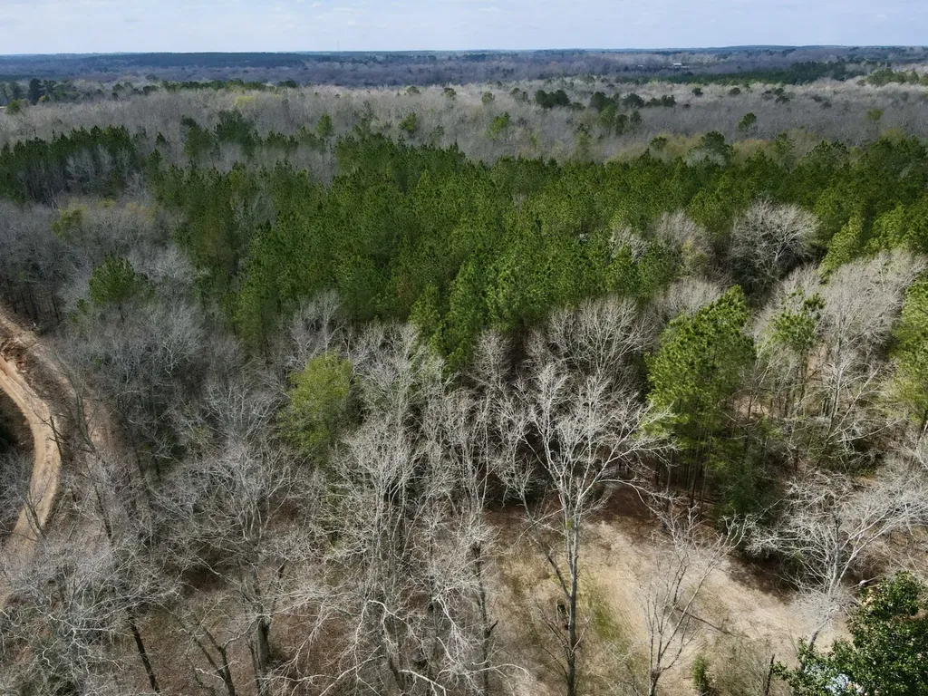 21518 Homer Smith Road Andalusia AL 36421