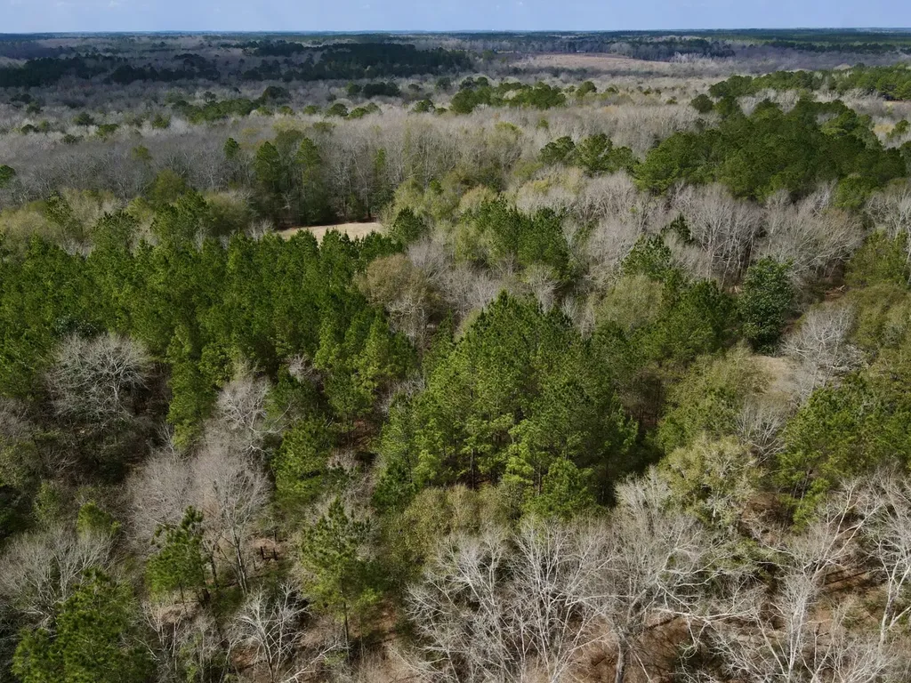 21518 Homer Smith Road Andalusia AL 36421