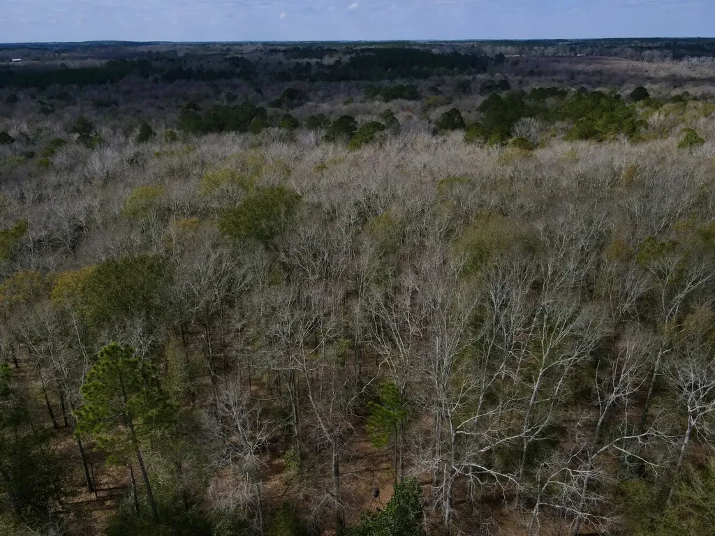 21518 Homer Smith Road Andalusia AL 36421