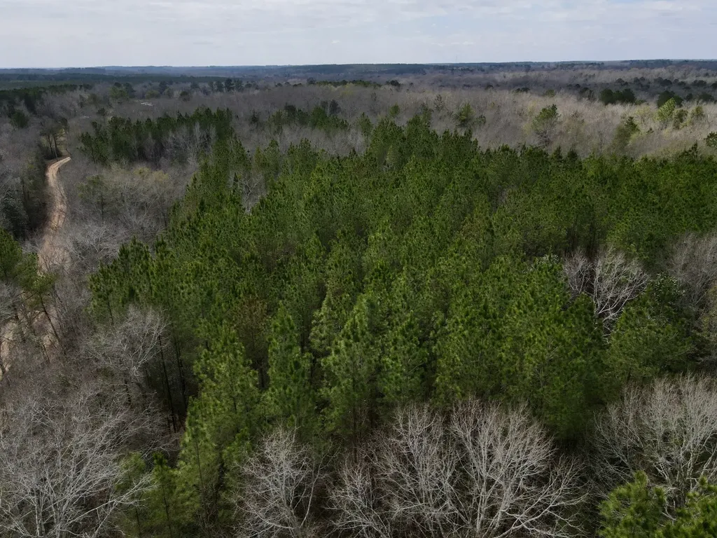 21518 Homer Smith Road Andalusia AL 36421